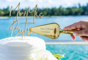 punta-cana-wedding-54