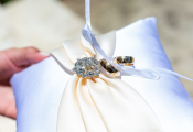 punta-cana-wedding-6