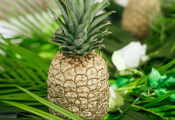 punta-cana-wedding-45