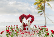 punta_cana_proposal-7