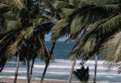 cabarete-wedding-1
