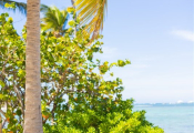 punta-cana-wedding-4
