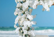 dreams-macao-resort-wedding-46