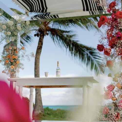 eden_roc_alexaadam_wedding-49 eden_roc_alexaadam_wedding-49