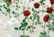 punta_cana_proposal-1