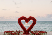 punta-cana-proposal-1
