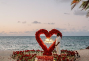 punta-cana-proposal-10
