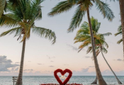 punta-cana-proposal-2