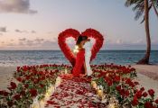 punta-cana-proposal-30