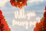 punta-cana-proposal-7