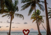 punta-cana-proposal-9