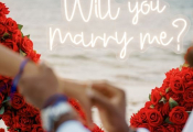 proposal-25