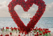proposal-3
