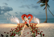 proposal-48