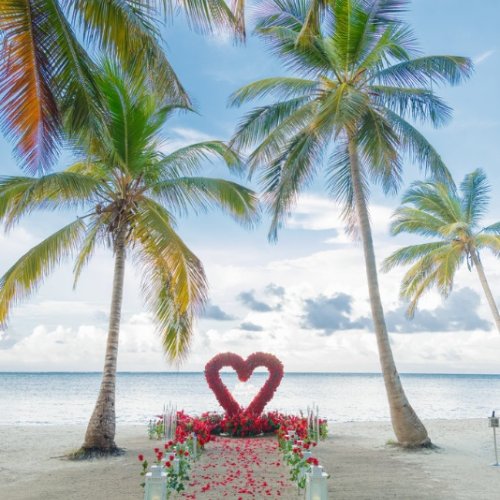 punta-cana-proposal-1