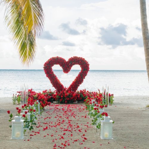punta-cana-proposal-2