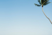 wedding_at_playa_blanca-57