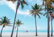 caribbean-wedding-10
