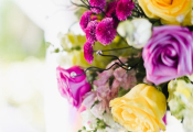 caribbean-wedding-40-853x1280