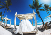 dominicanwedding-01