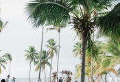 punta-cana-wedding-planner-305