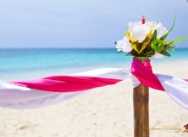 Boda en Cap Cana, República Dominicana. Olga y Sergey