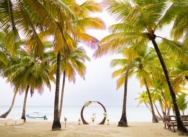 <h1>Boda íntima en Isla Saona: una romántica ceremonia en el Caribe</h1>